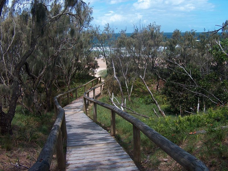 36 Kingfisher Drive, Peregian Beach QLD 4573