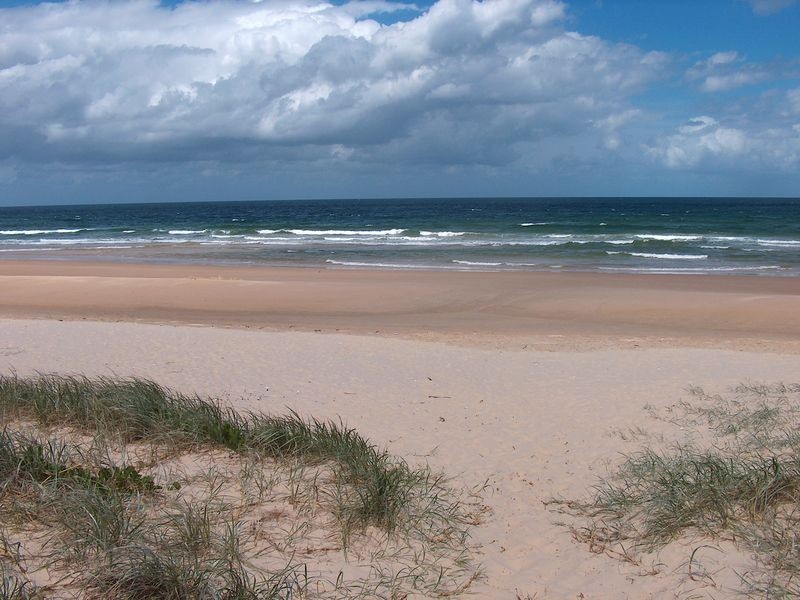 36 Kingfisher Drive, Peregian Beach QLD 4573