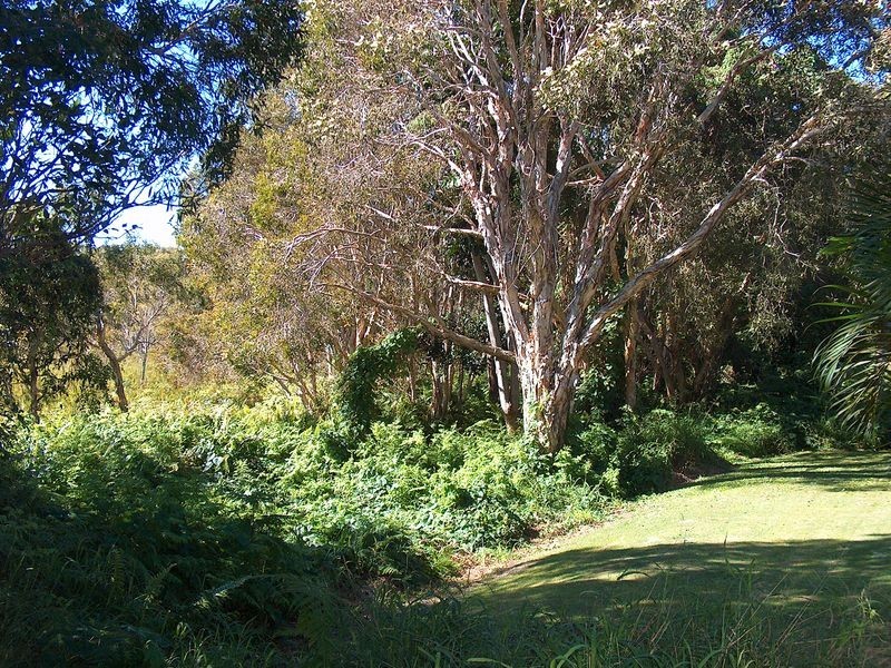 17 Spoonbill Street, Peregian Beach QLD 4573
