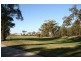 77 (L1402) The Avenue, Peregian Springs QLD 4573