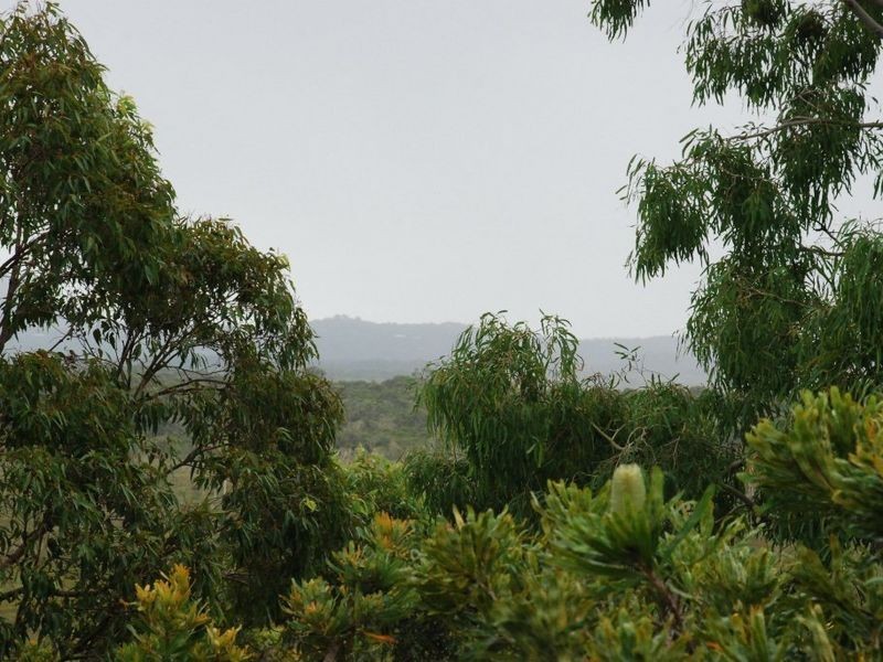 59 Podargus Parade, Peregian Beach QLD 4573