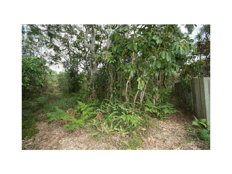 47 Spoonbill Street, Peregian Beach QLD 4573