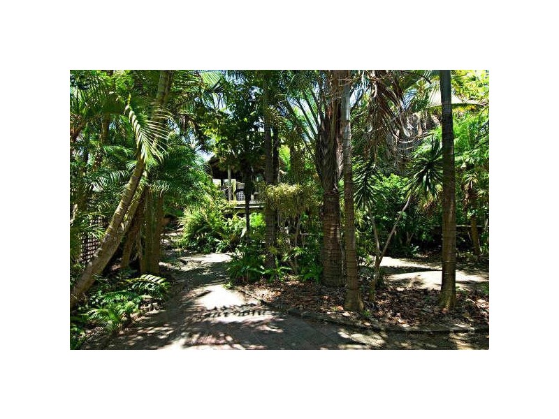 29 McAnally Drive, Sunshine Beach QLD 4567