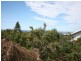 112 Persimmon Drive, Peregian Beach QLD 4573