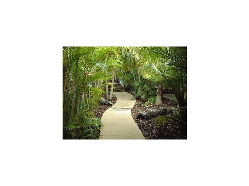 6/43 Oriole Avenue, Peregian Beach QLD 4573