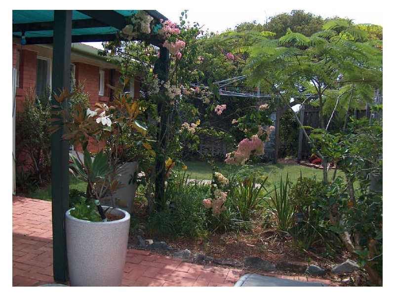 4 Jacana Street, Peregian Beach QLD 4573
