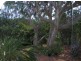 4 Jacana Street, Peregian Beach QLD 4573
