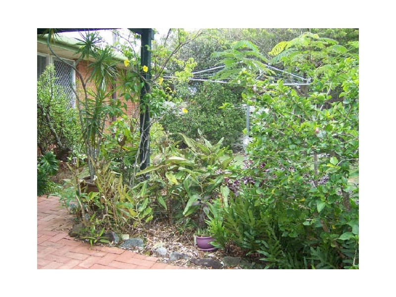 4 Jacana Street, Peregian Beach QLD 4573