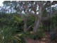 4 Jacana Street, Peregian Beach QLD 4573