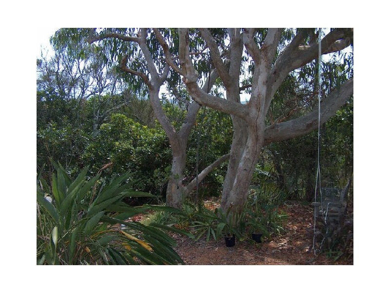 4 Jacana Street, Peregian Beach QLD 4573