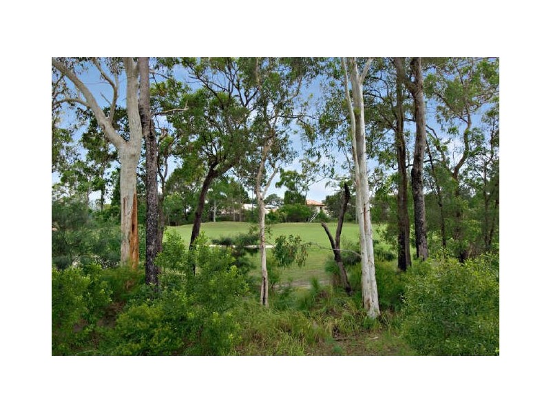 29 Peachtree Crescent, Peregian Springs QLD 4573