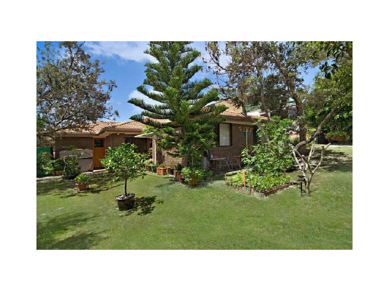 55 Oriole Avenue, Peregian Beach QLD 4573