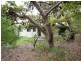 30 Hawthorn Grove, Marcus Beach QLD 4573