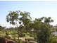 3 (L286) Fairway Parade, Peregian Springs QLD 4573