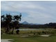 156 The Avenue, Peregian Springs QLD 4573