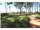 18 Longwood Drive, Peregian Springs QLD 4573