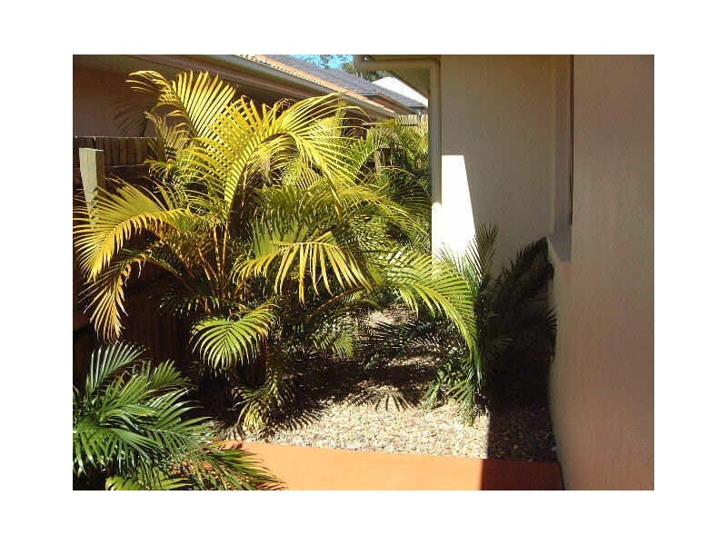 34 Highgrove Circuit, Peregian Springs QLD 4573