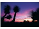 Vacant Land, Peregian Springs QLD 4573