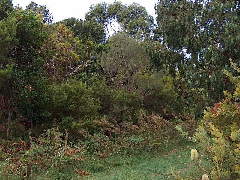 31 Spoonbill Street, Peregian Beach QLD 4573
