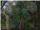 31 Spoonbill Street, Peregian Beach QLD 4573