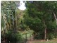 31 Spoonbill Street, Peregian Beach QLD 4573