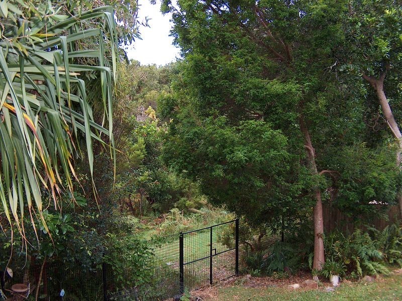 31 Spoonbill Street, Peregian Beach QLD 4573
