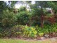 12 Walnut Court, Marcus Beach QLD 4573