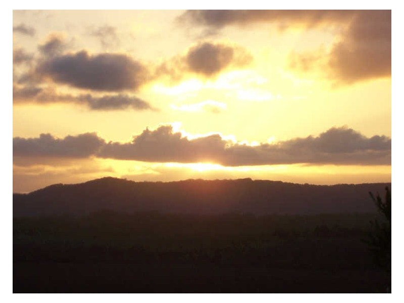 7 Calliandra Grove, Peregian Beach QLD 4573