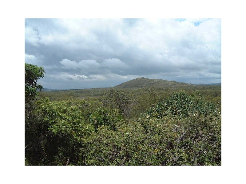 3/5 Pitta Street, Peregian Beach QLD 4573