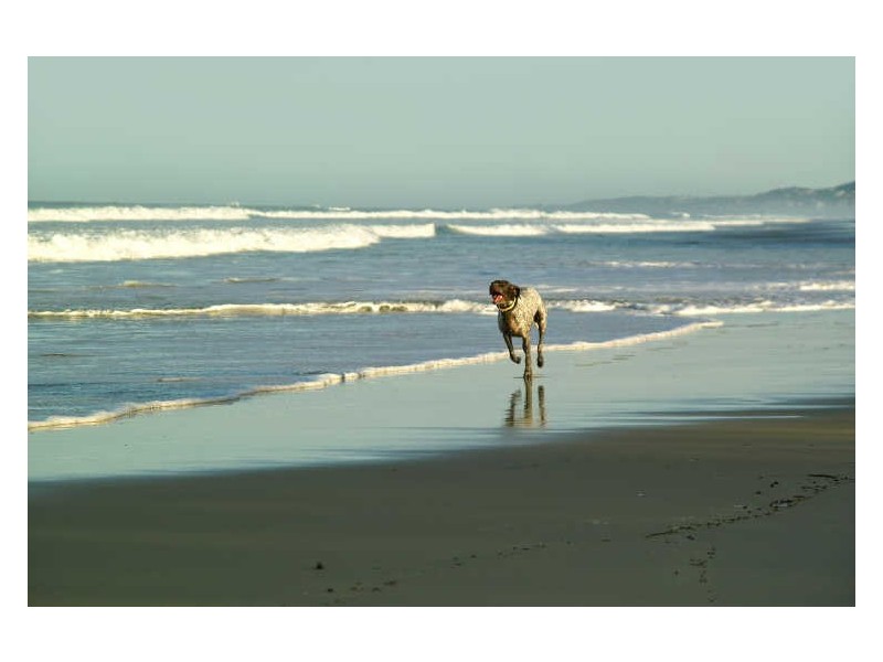 23 Callitris Crescent, Marcus Beach QLD 4573