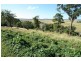 24 Valdora Road, Maroochy River QLD 4561