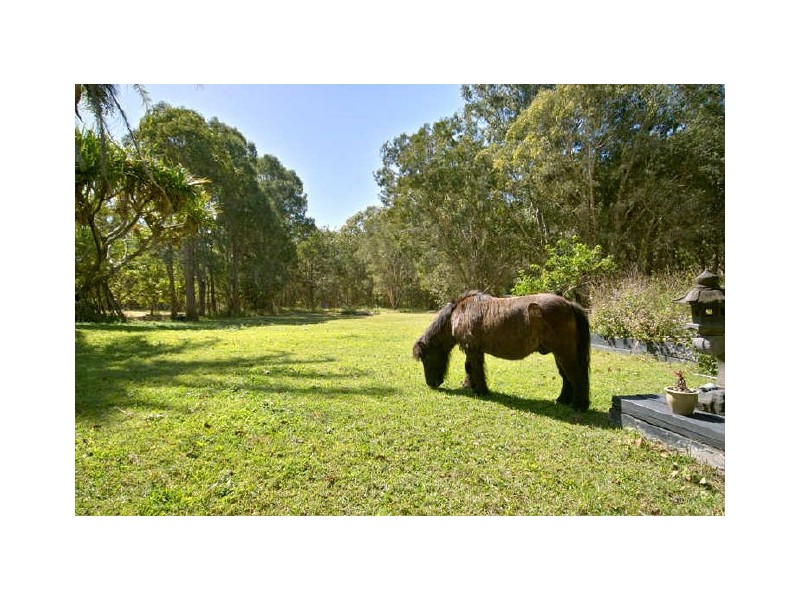 150 Mary-Anne Drive, Peregian Beach QLD 4573