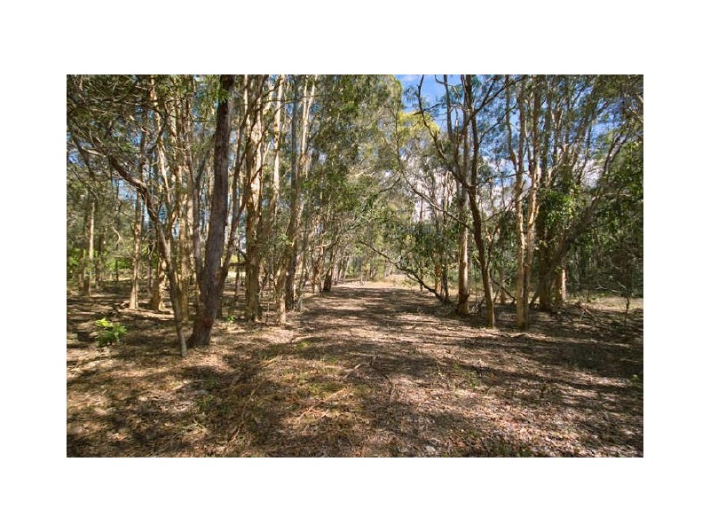 150 Mary-Anne Drive, Peregian Beach QLD 4573