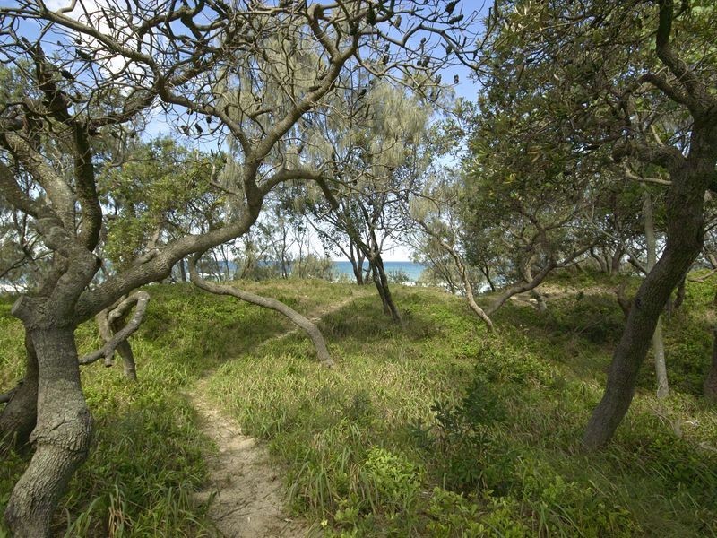 84 Lorikeet Drive, Peregian Beach QLD 4573