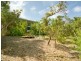 43 Lowry Street, Peregian Beach QLD 4573