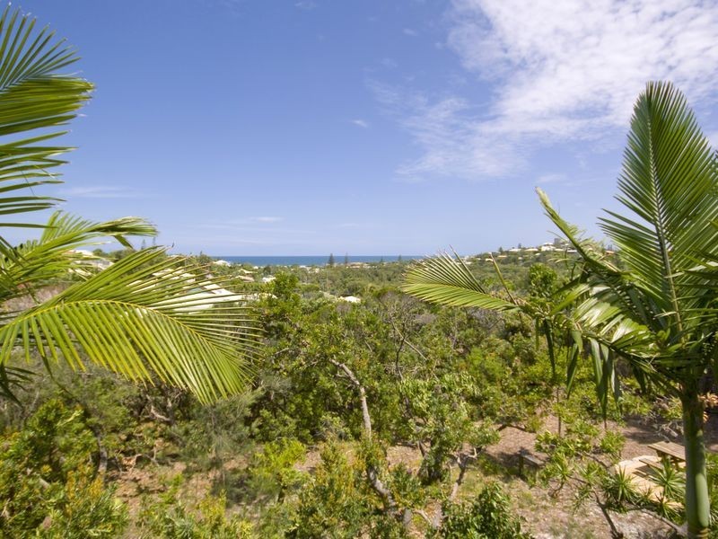 43 Lowry Street, Peregian Beach QLD 4573