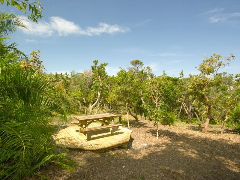 43 Lowry Street, Peregian Beach QLD 4573