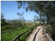 29 Lorilet Street, Peregian Beach QLD 4573