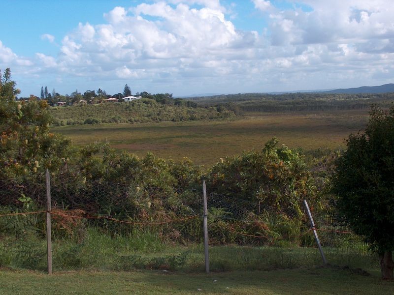 67 Parakeet Crescent, Peregian Beach QLD 4573