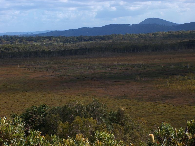 67 Parakeet Crescent, Peregian Beach QLD 4573