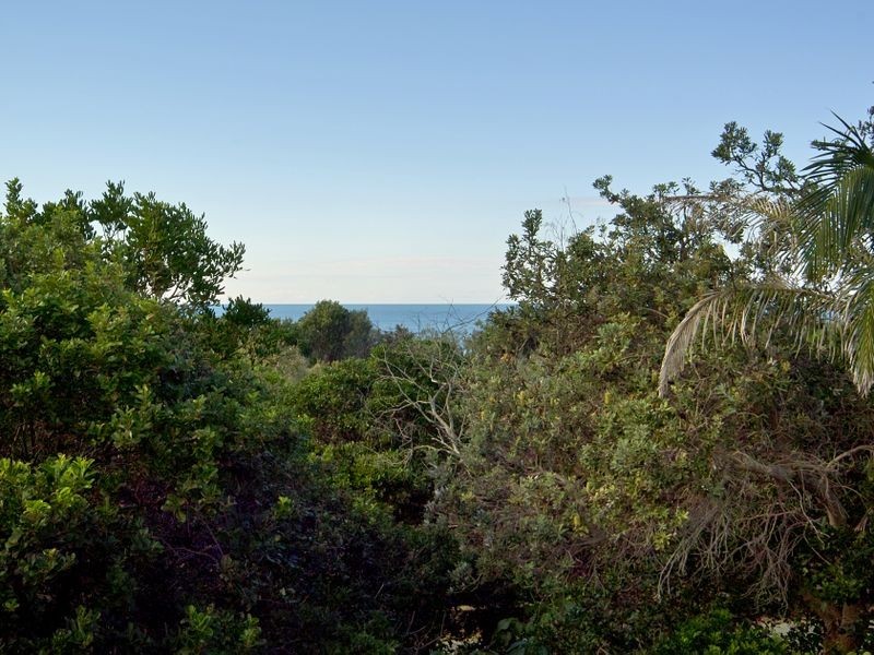 40/388 David Low Way, Peregian Beach QLD 4573