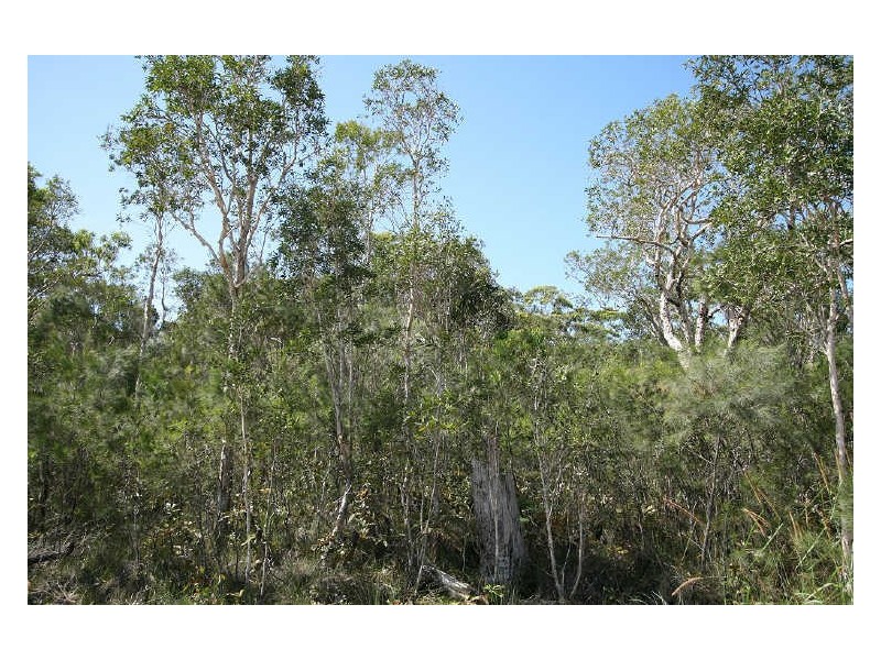 19 Longcove Place, Peregian Springs QLD 4573