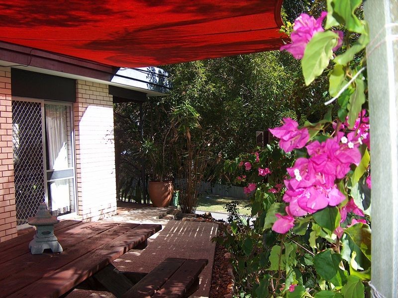 44 Jacana Street, Peregian Beach QLD 4573