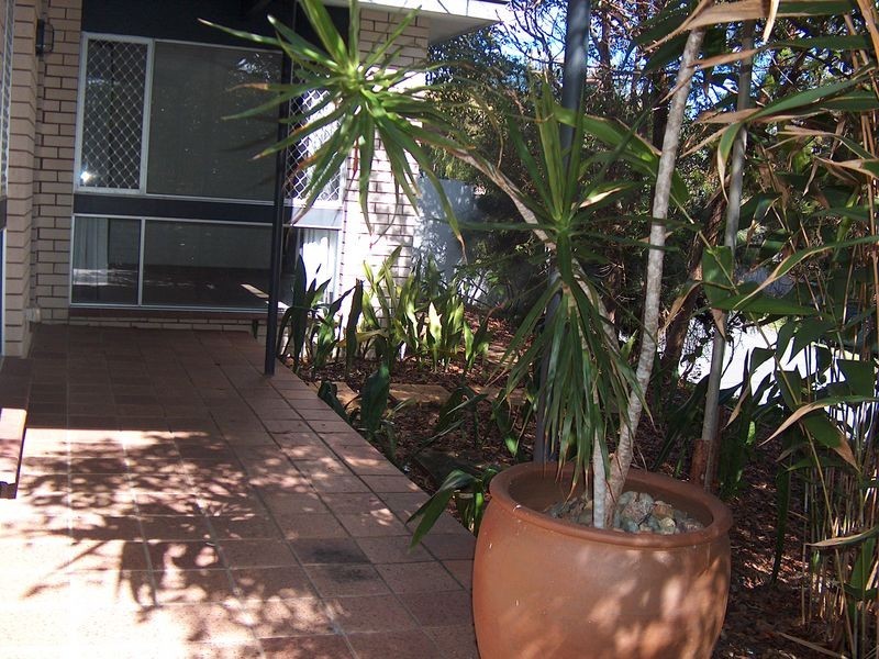 44 Jacana Street, Peregian Beach QLD 4573