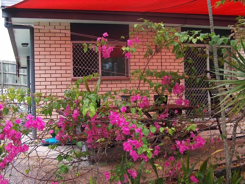 44 Jacana Street, Peregian Beach QLD 4573