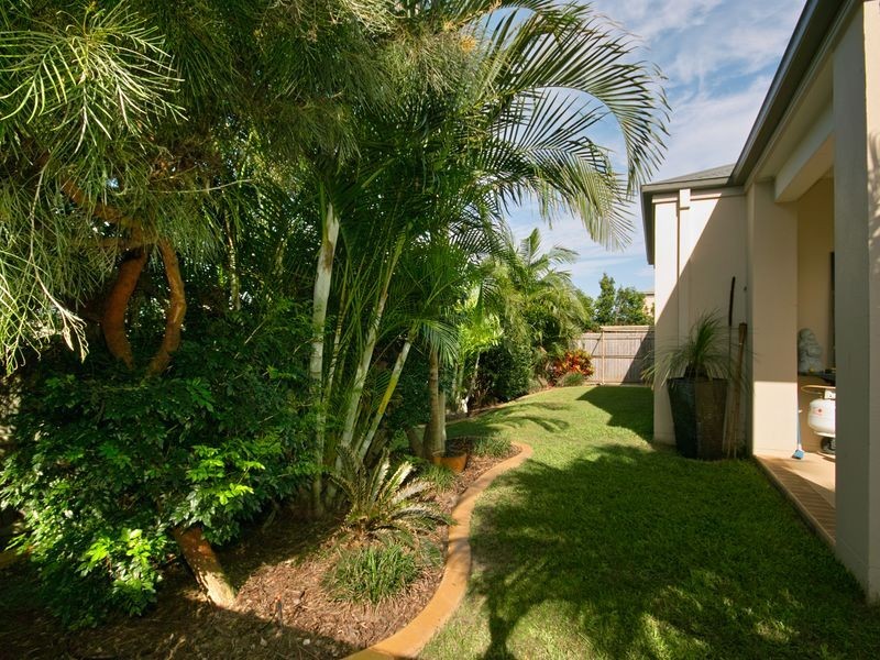 117 The Avenue, Peregian Springs QLD 4573