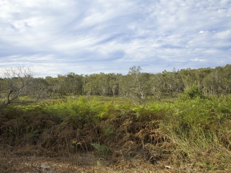7 Mimosa Street, Peregian Beach QLD 4573