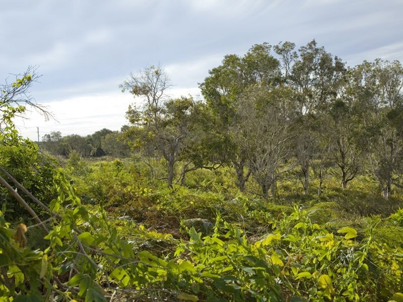 7 Mimosa Street, Peregian Beach QLD 4573