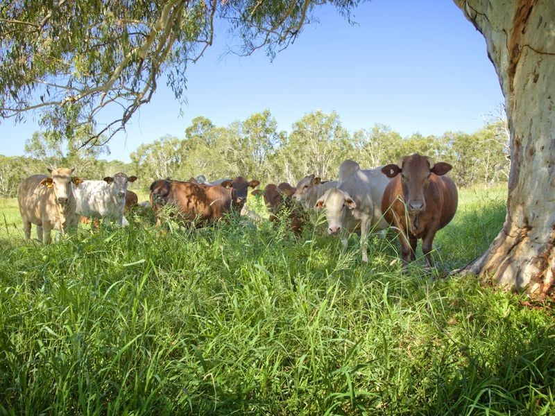 94 Murdering Creek Road, Peregian Beach QLD 4573