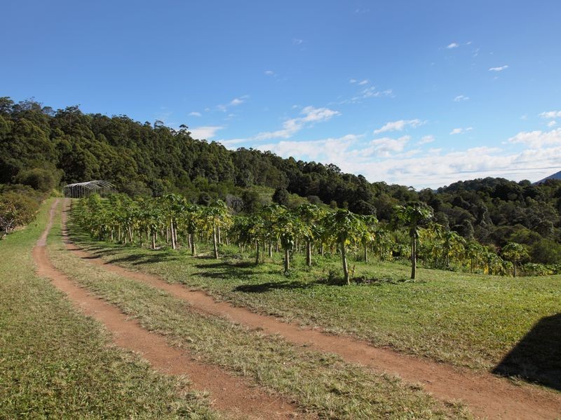 107 Pathara Road, North Arm QLD 4561